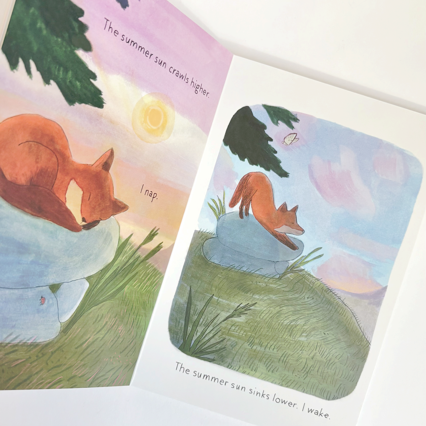 Illustrated book pages showing a fox in a forest with text about the summer sun.