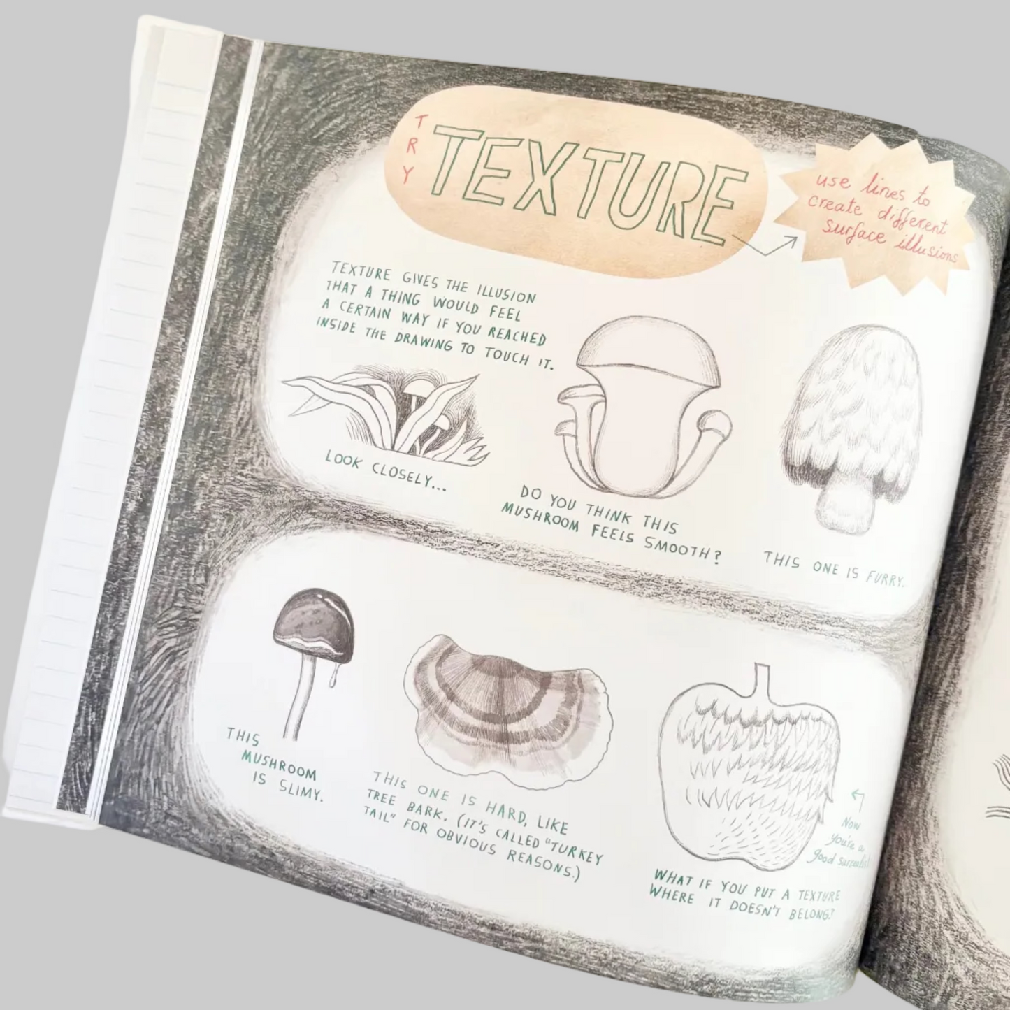 Book open to a page about texture with illustrations of mushrooms and text.