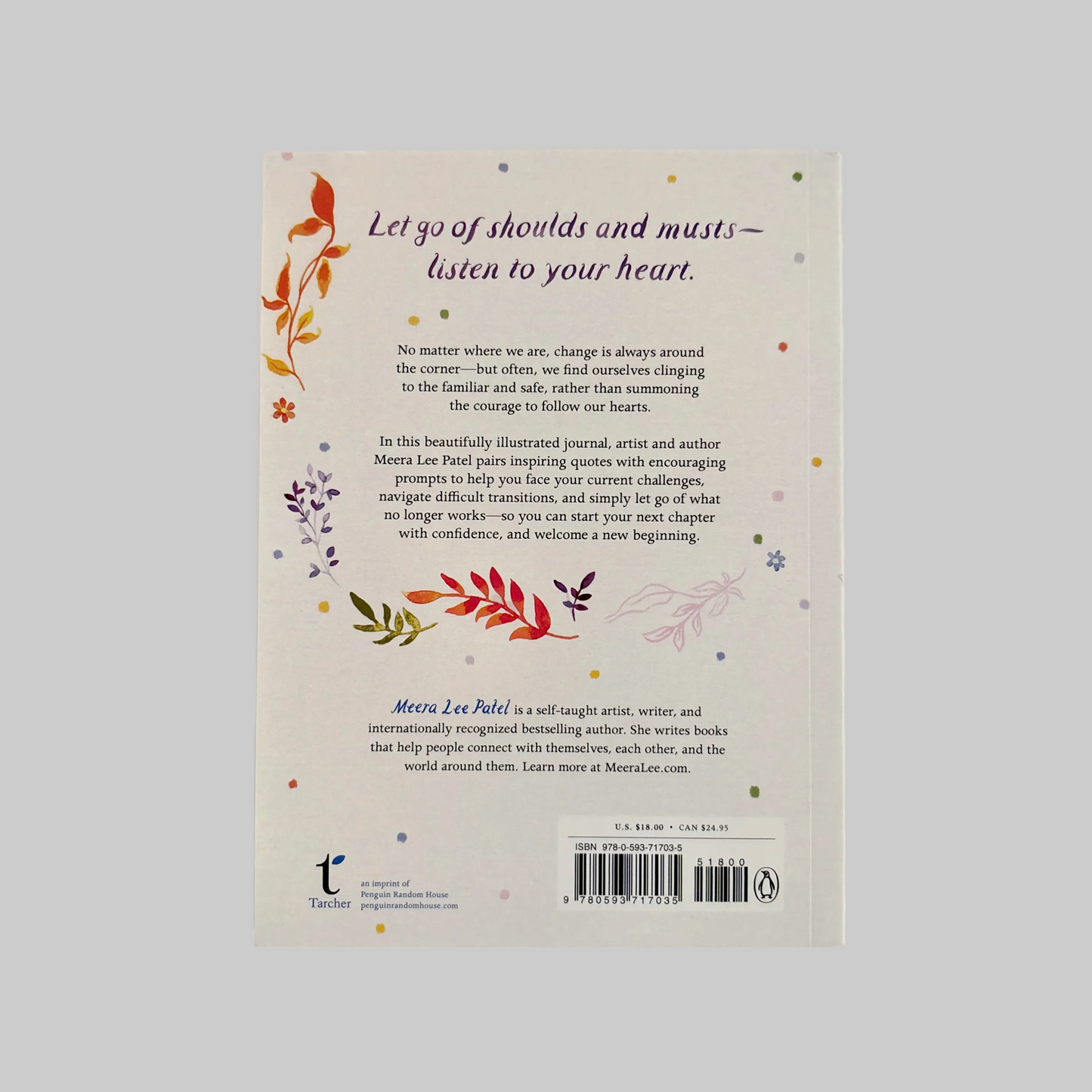 Back cover of a book with text and decorative elements.