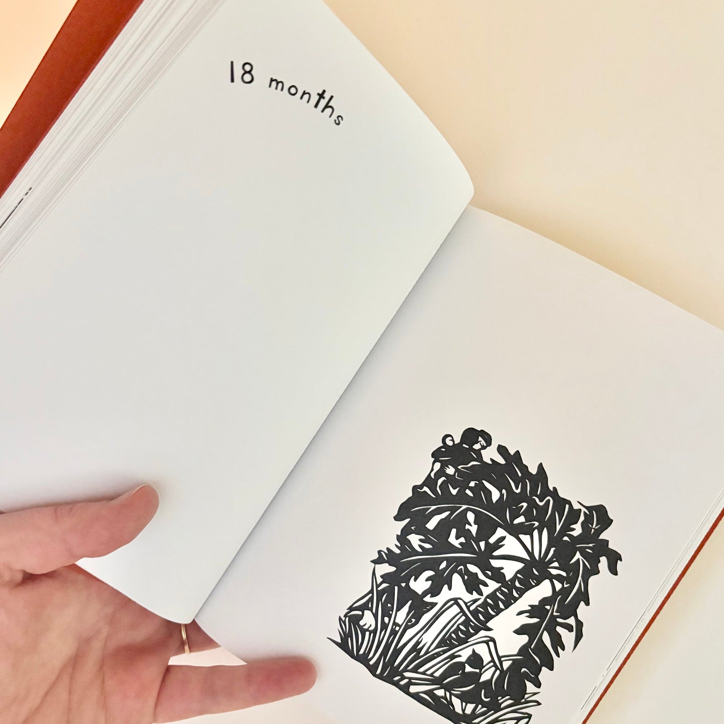 A book open to a page with a black cut-out design of a plant, labeled '18 months'.