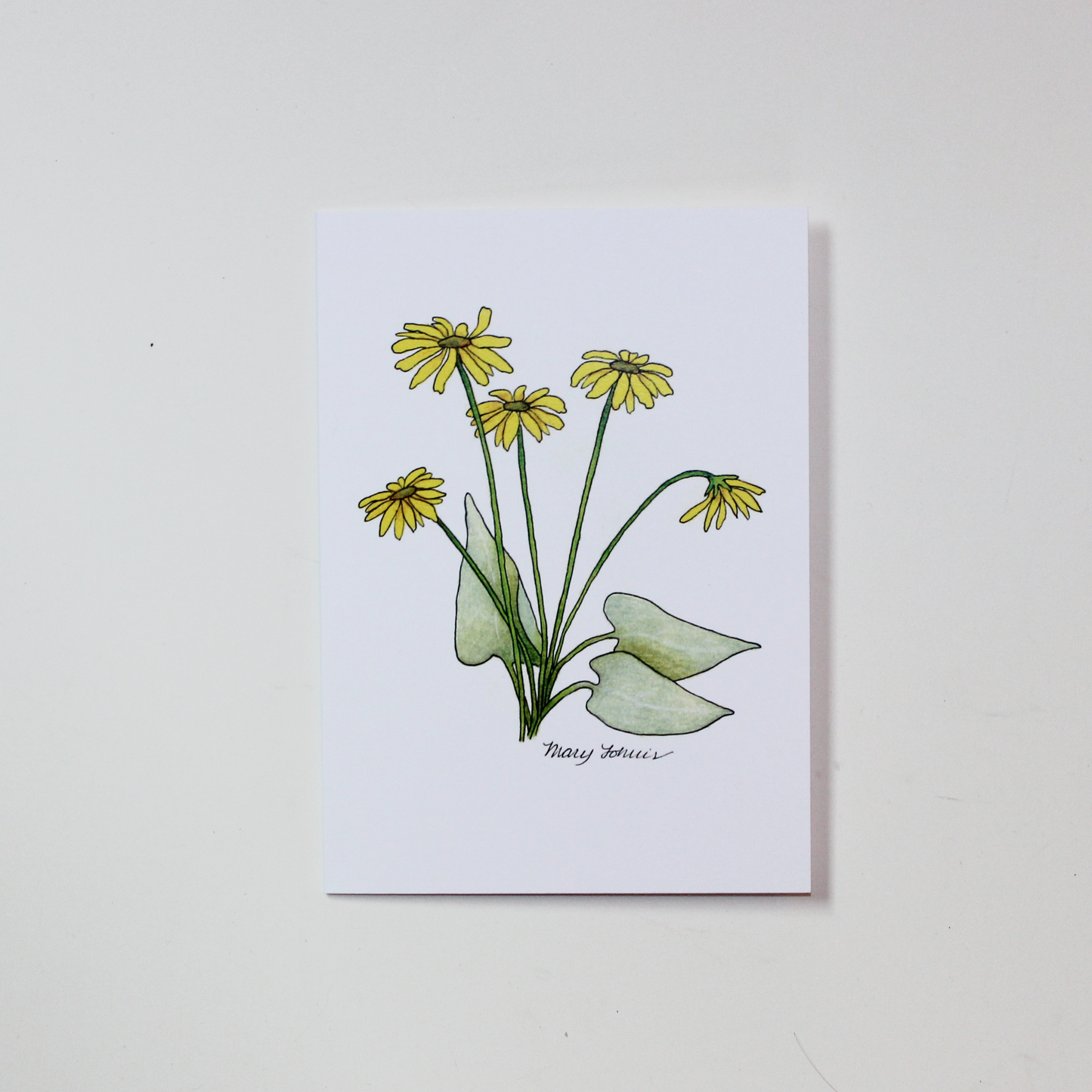 Wildflower Card