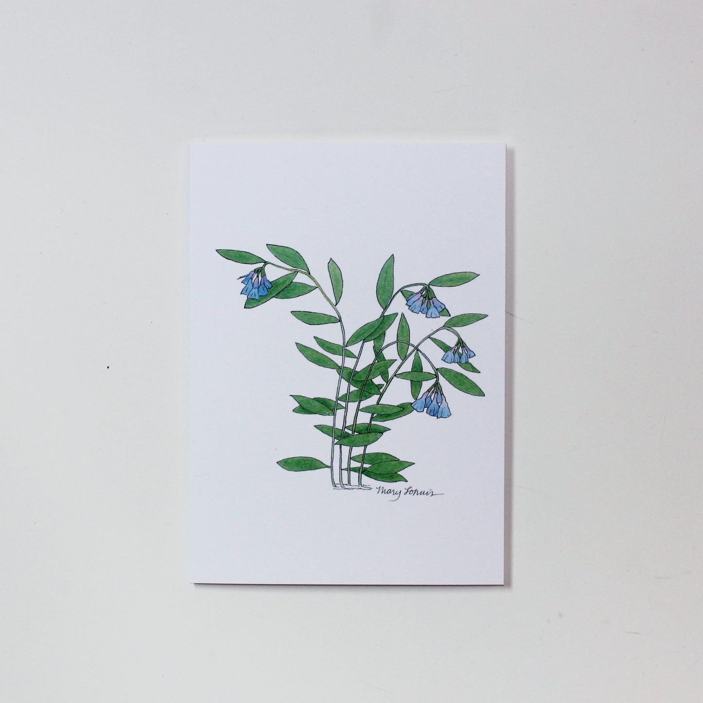 Wildflower Card
