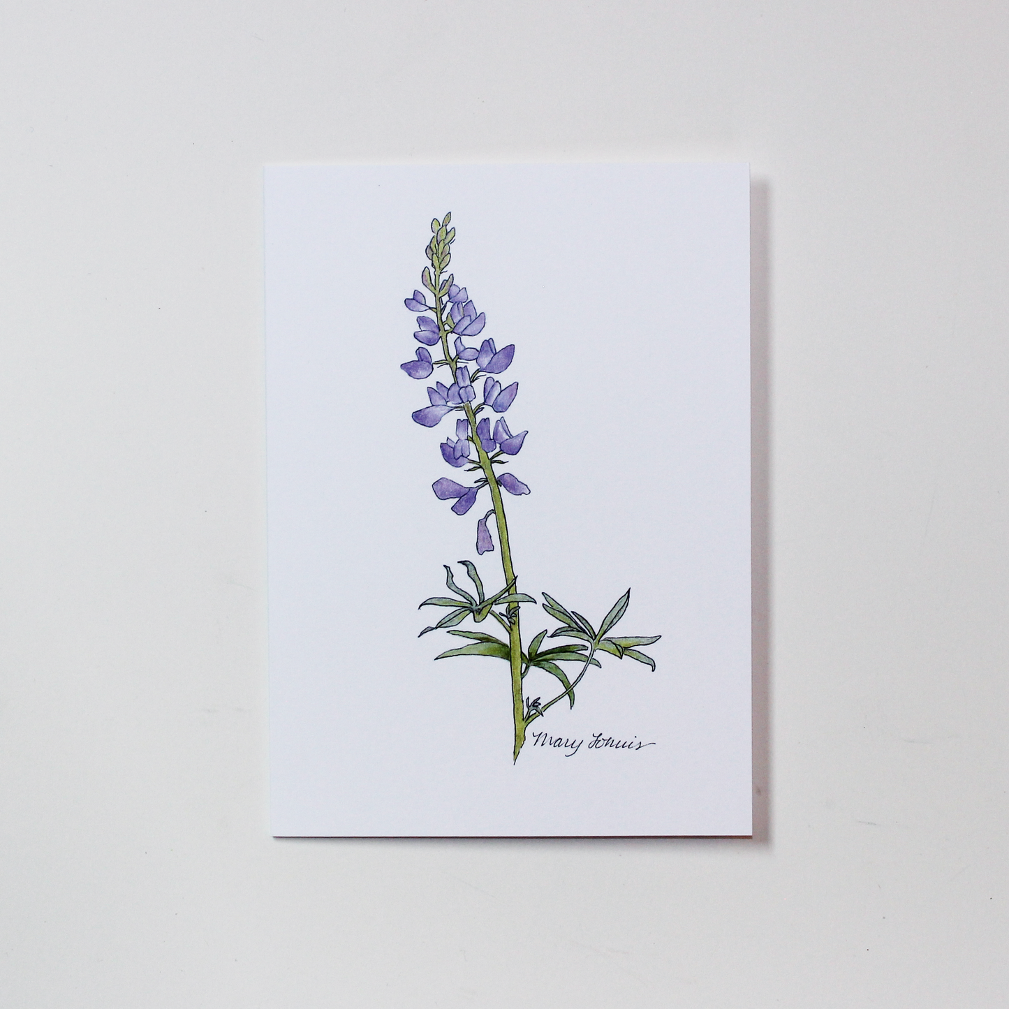 Wildflower Card