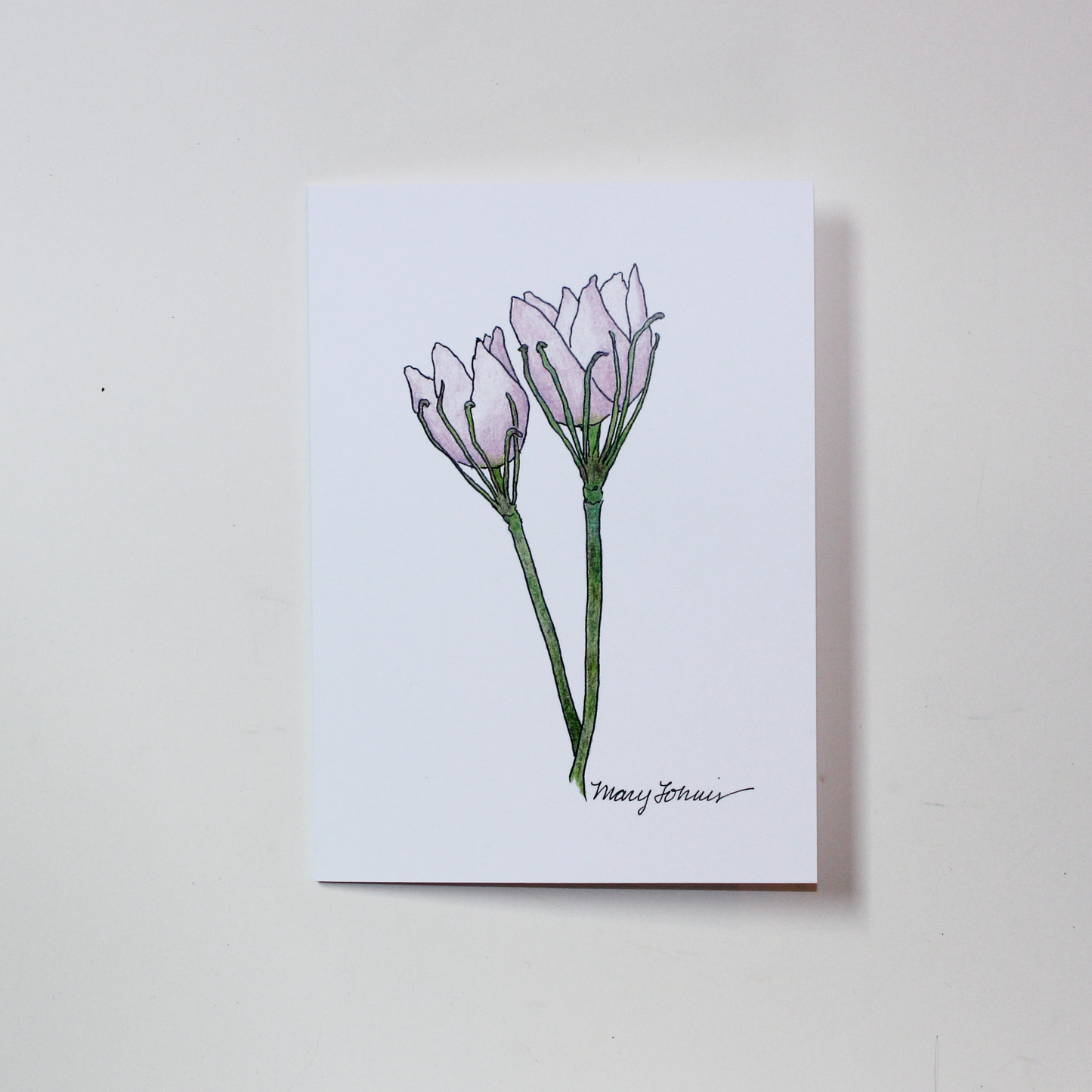 Wildflower Card