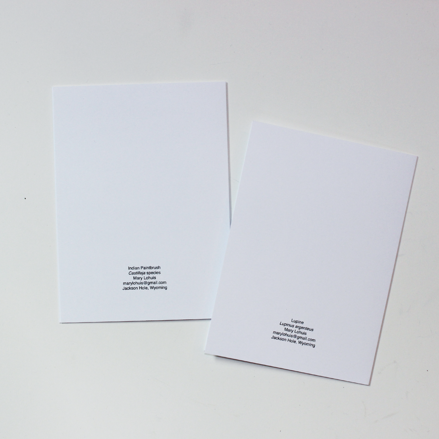 Wildflower Card