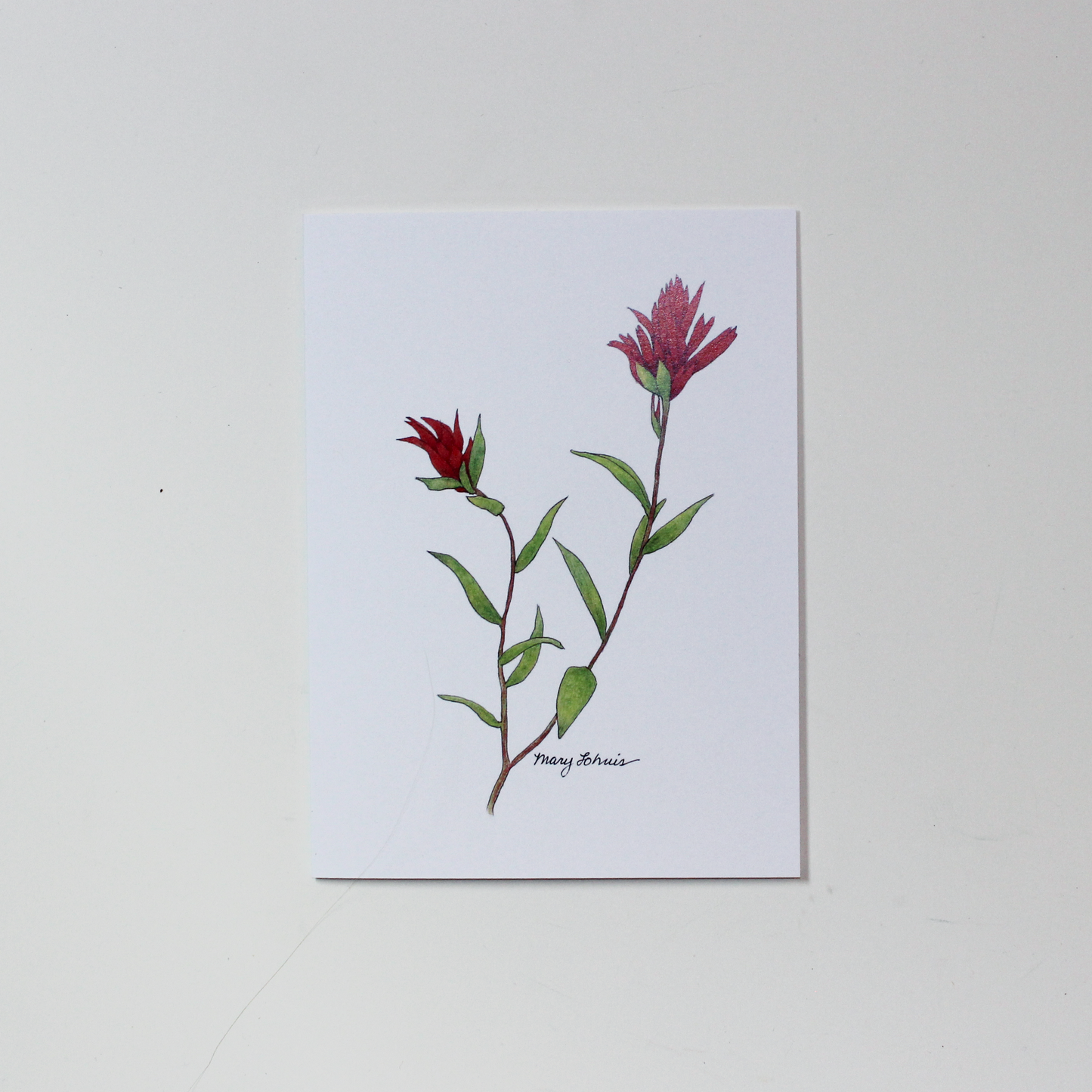 Wildflower Card