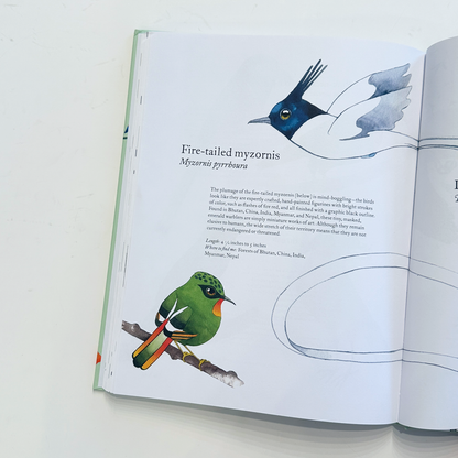 The Atlas of Amazing Birds