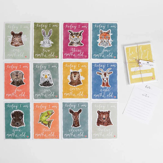 Set of 12 monthly milestone cards with animal illustrations on colorful backgrounds with a white border.