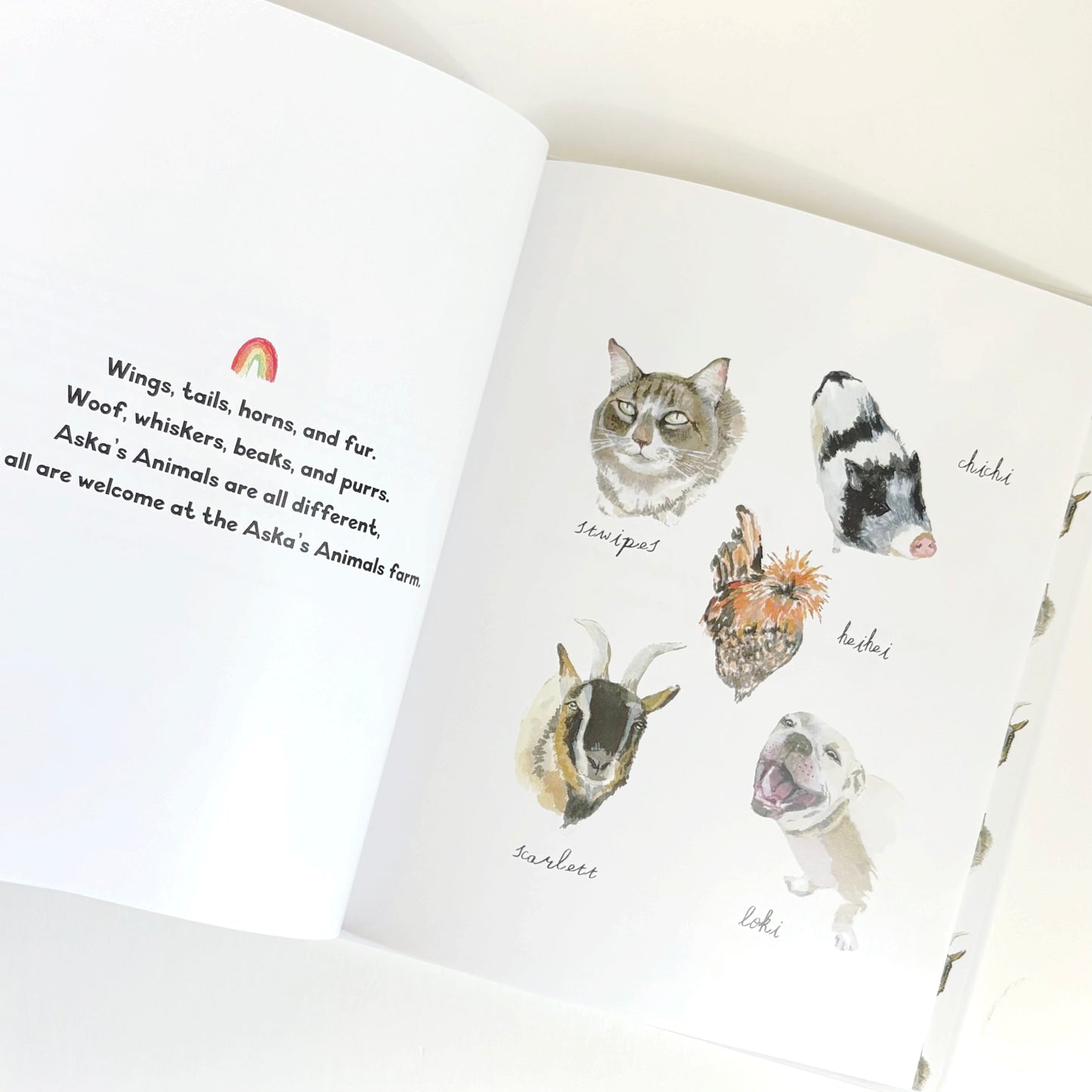 Open book with illustrations of various animals and text on a white background