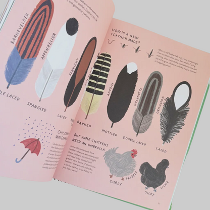 Illustrated book page about feathers with feather illustrations and text.