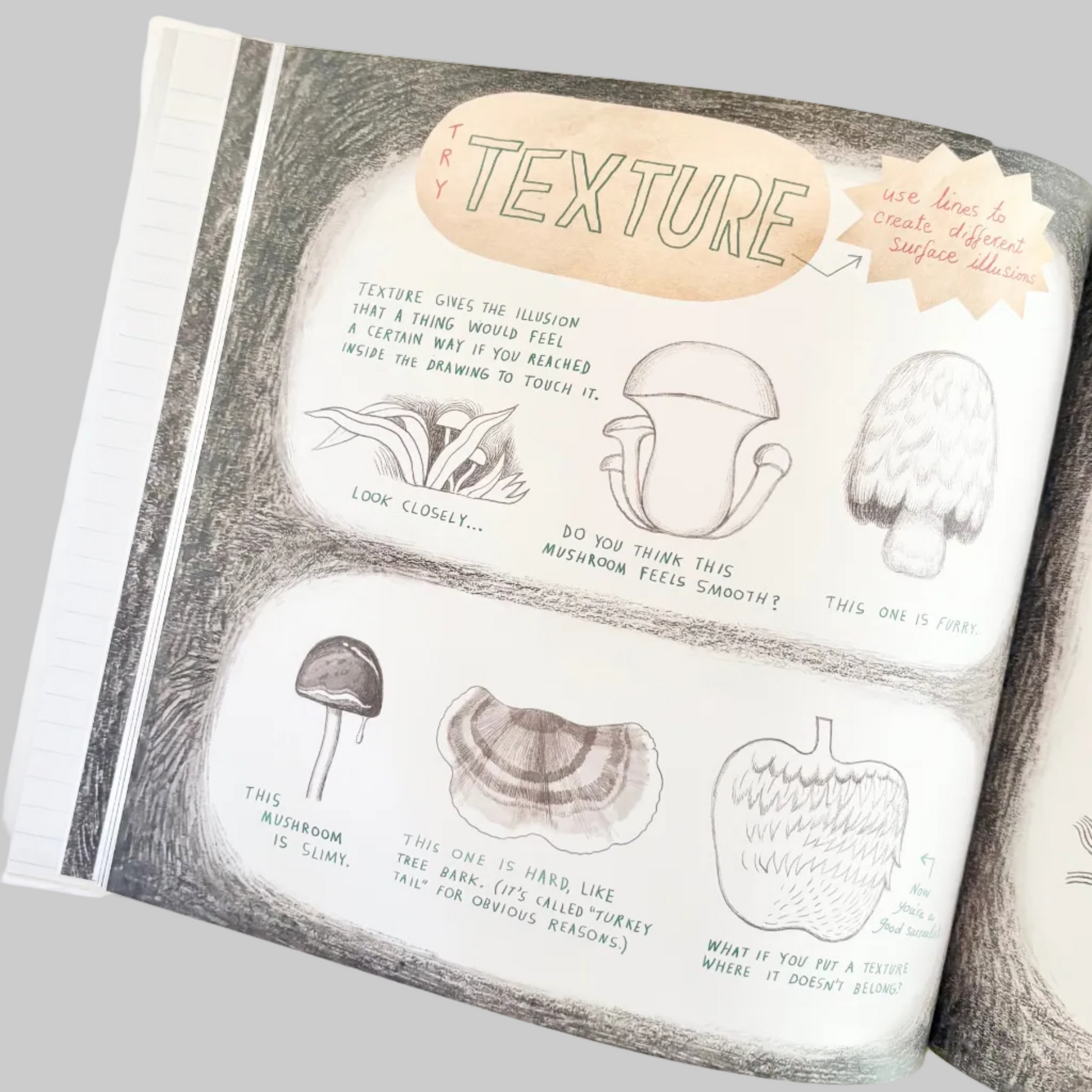 Book open to a page about texture with illustrations of mushrooms and text.