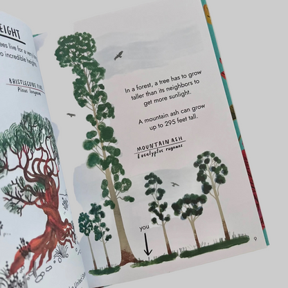 Book open to a page with illustrations of trees and text about mountain ash