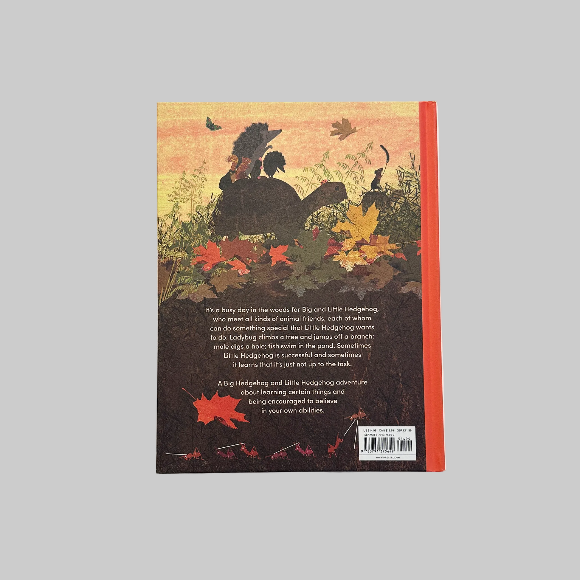 Back cover of a book featuring hedgehogs and a turtle