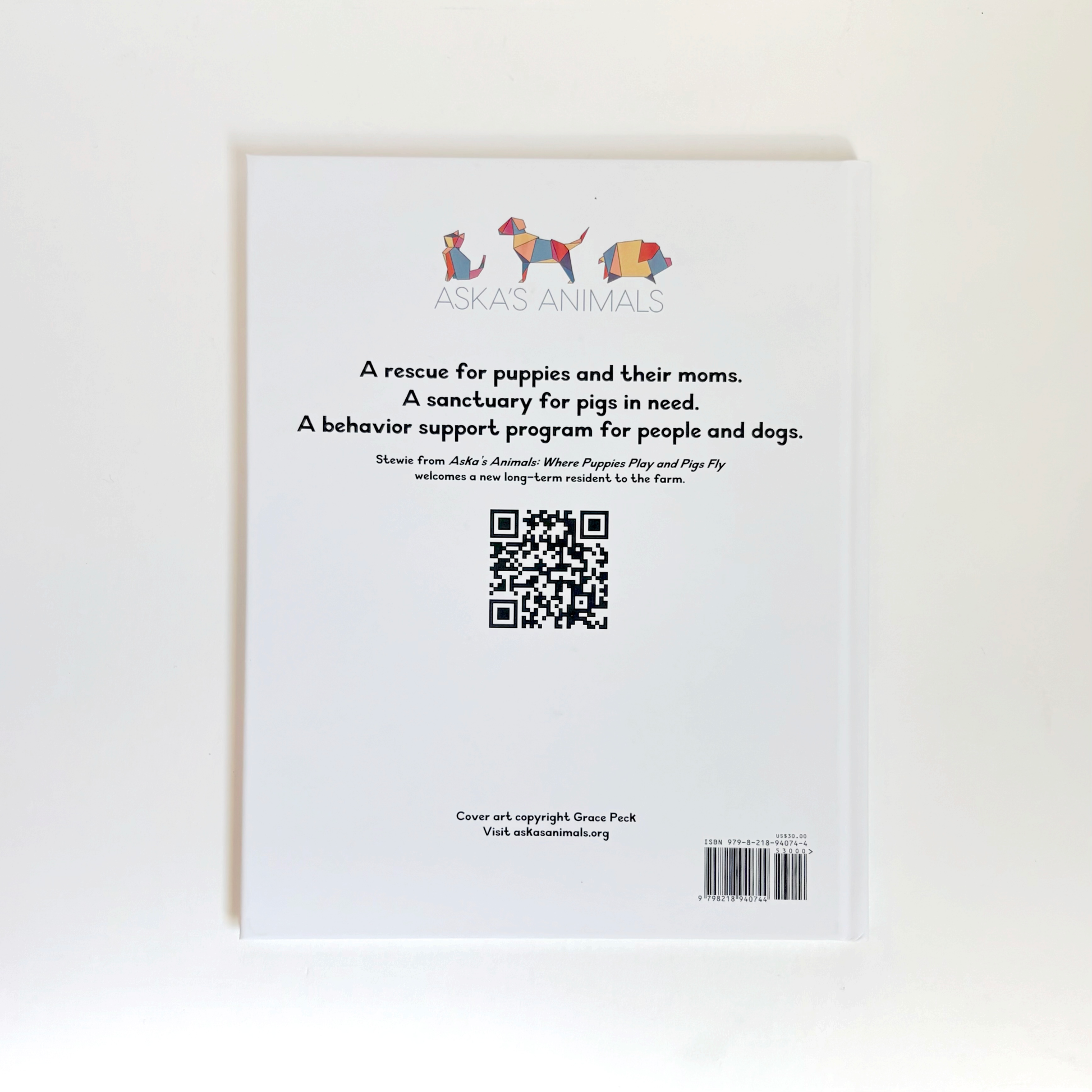 Back cover of a book with text and QR code