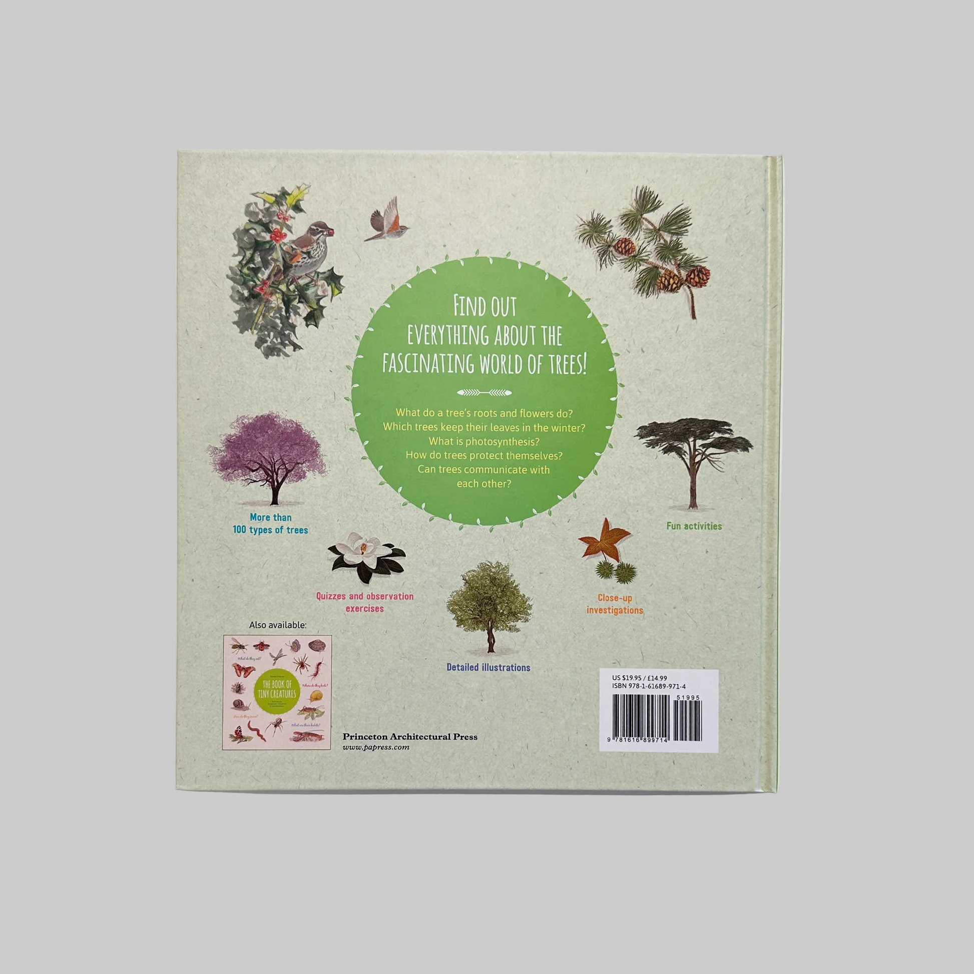 Back cover of "The Book of Amazing Trees" featuring tree illustrations on a green background