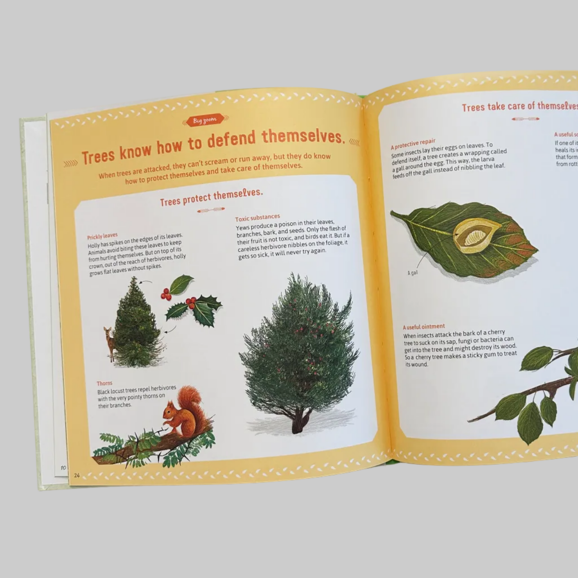 Open book page featuring illustrations of trees, leaves, and a squirrel