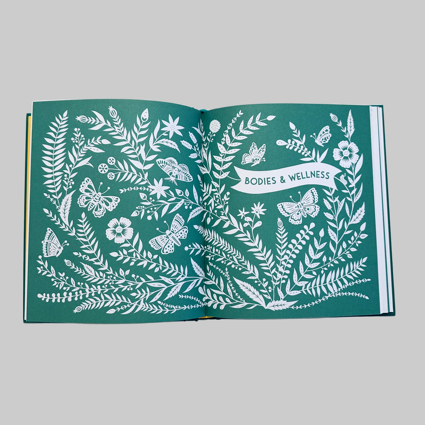 Open page of "This Family of Ours" keepsake journal featuring detailed white illustrations on a green background