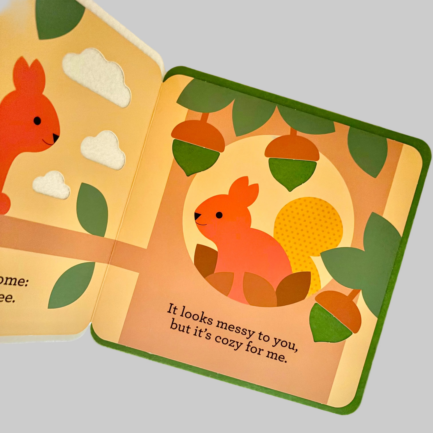 Children's book with a cartoon squirrel and acorns.