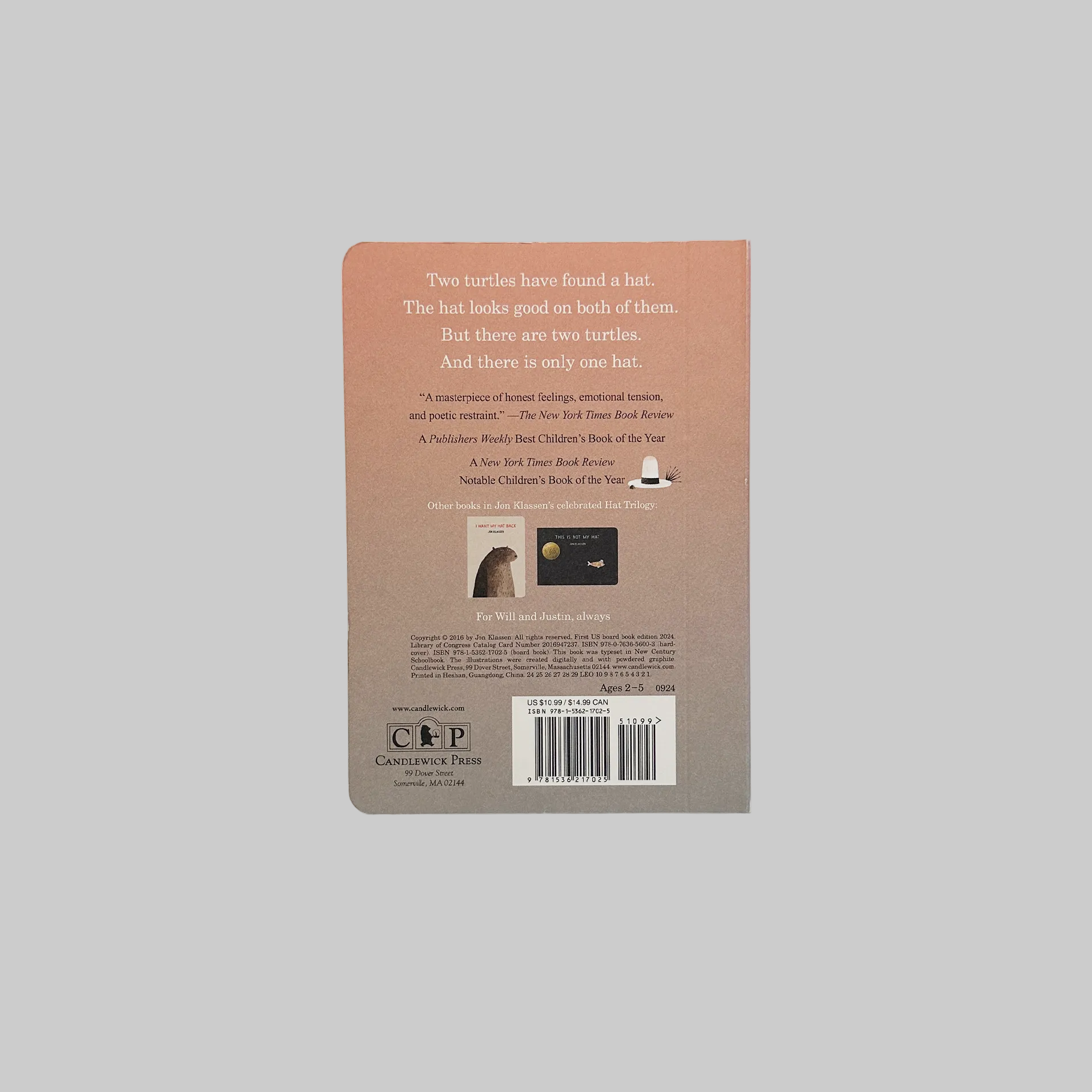 Back cover of the book "We Found a Hat"