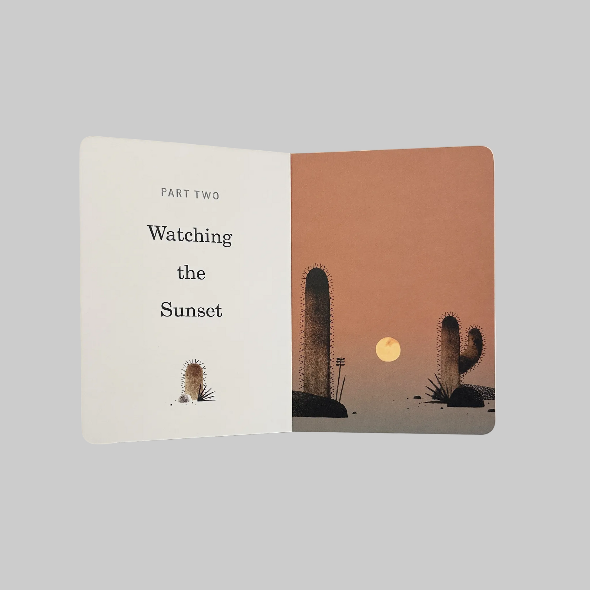 Open book featuring illustrations of a desert scene
