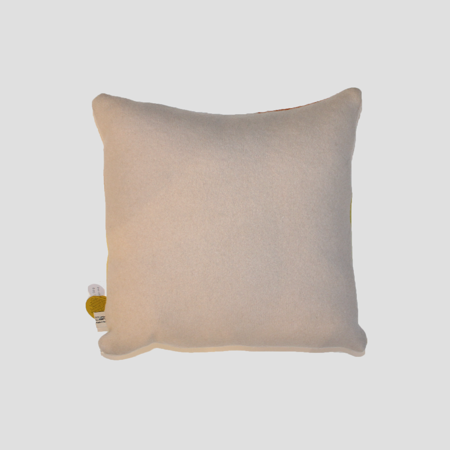 Hue Cushion