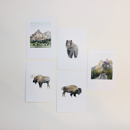 Wyoming Postcard Set