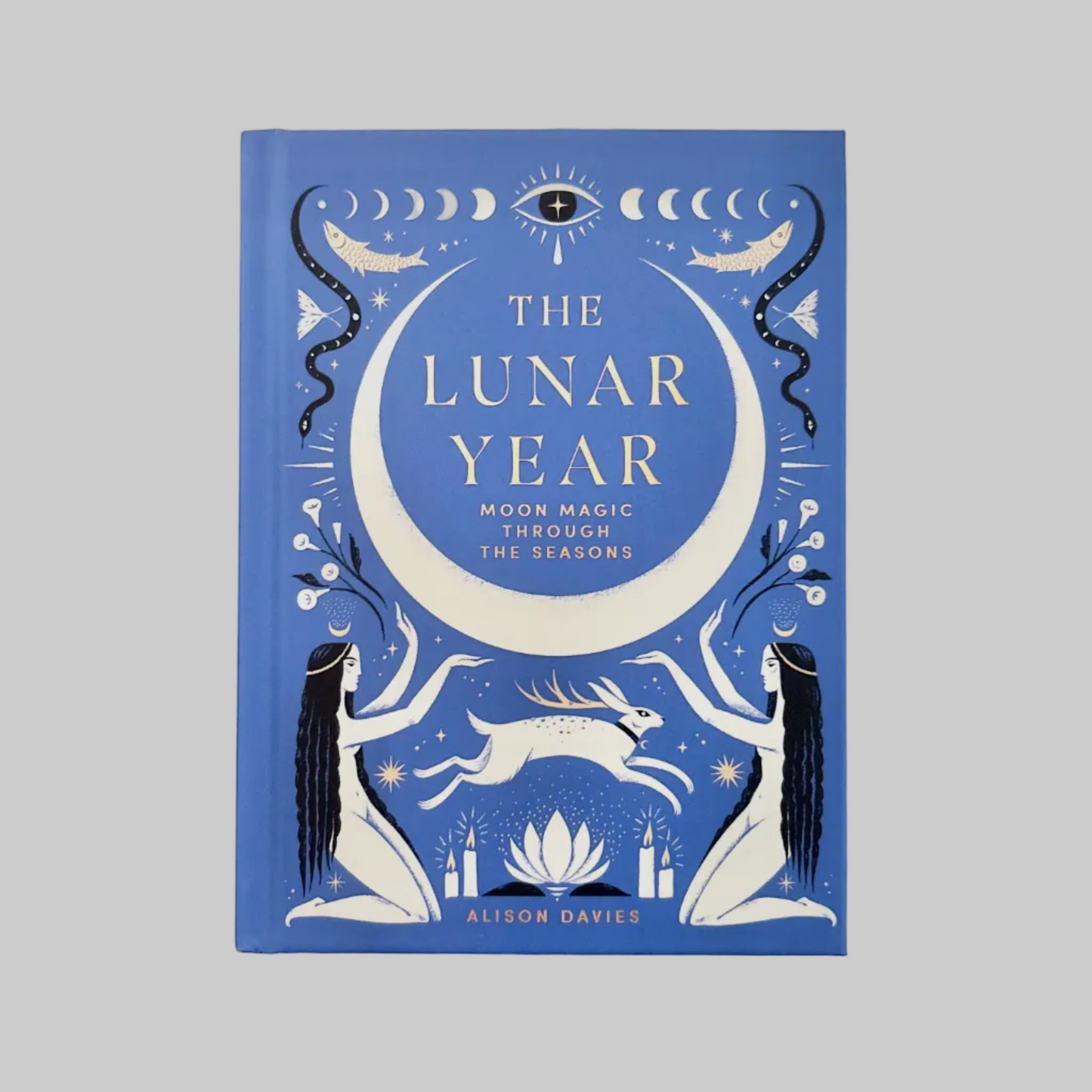Book cover of 'The Lunar Year' by Alison Davies with celestial design and text on a blue background