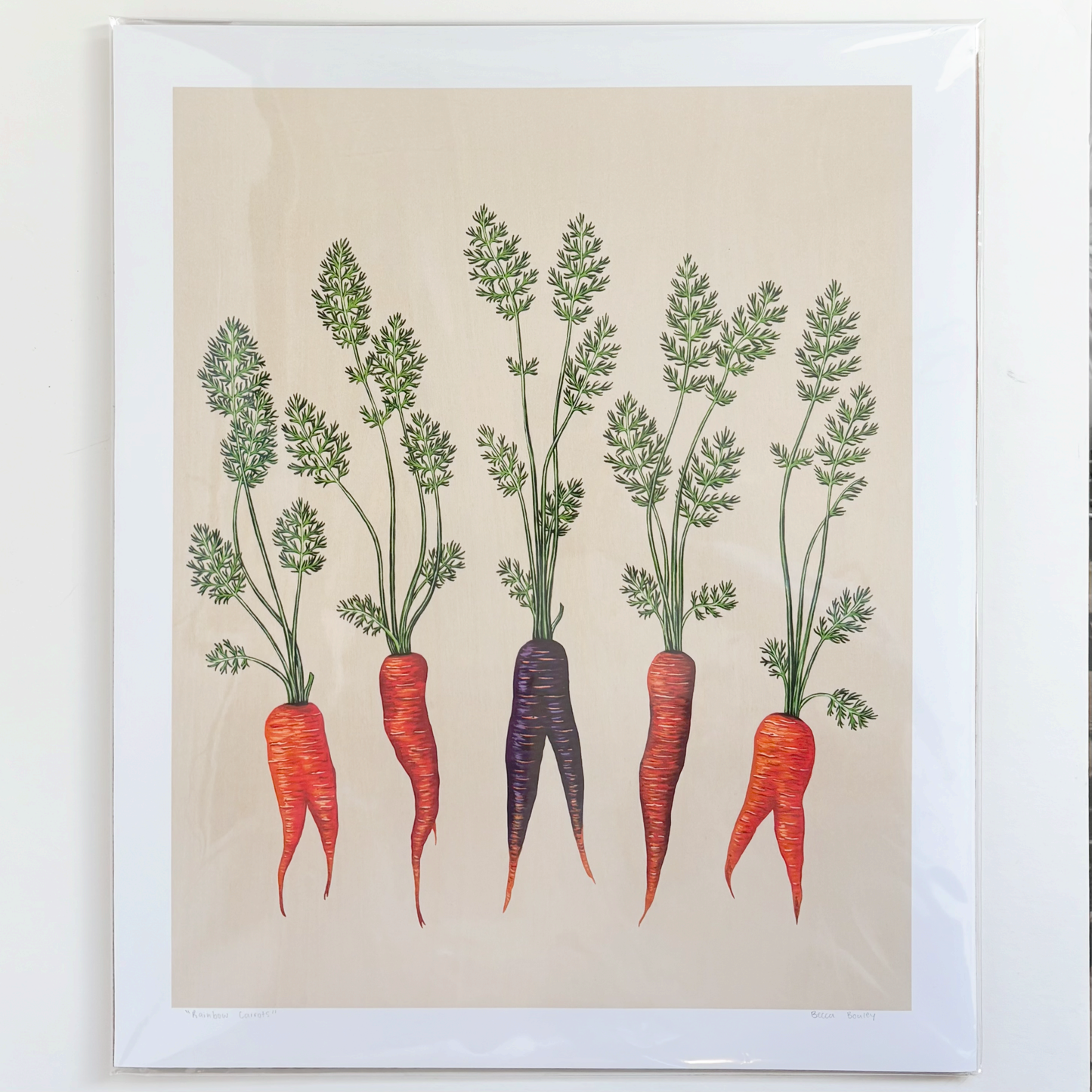 Becca Bouley’s “Rainbow Carrots” art print featuring a group of natural carrots in varying colors, local to Jackson, WY